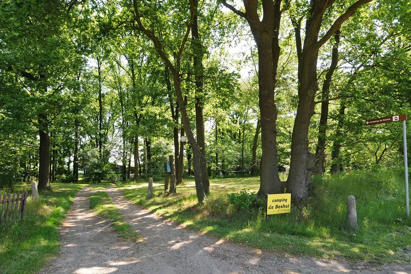 Wandel- en fietsroutes door de bossen van Geijsteren